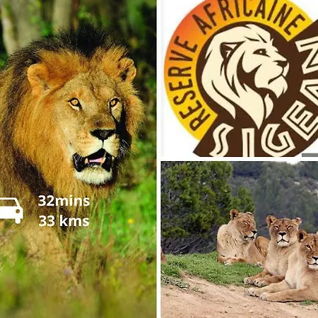 Spacieux Avec Balcon *